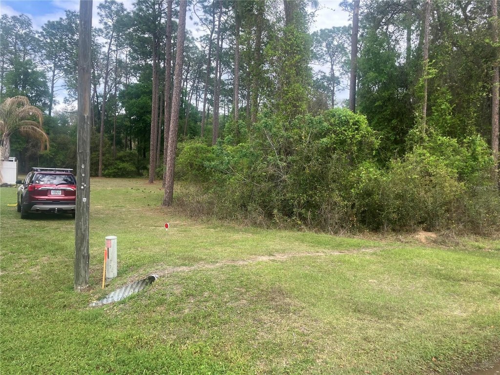 Picture 6