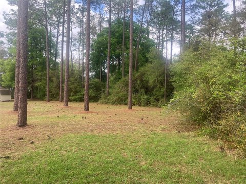Land, SILVER SPRINGS, FL