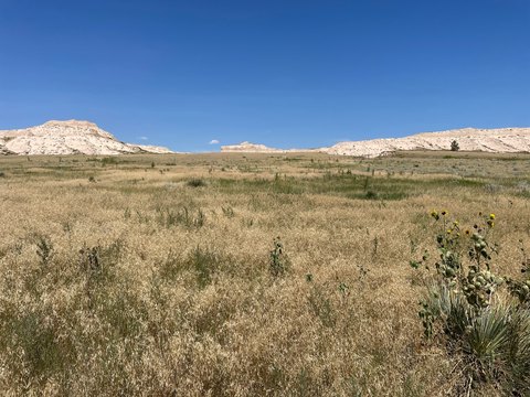 25 Acre Vacant Land