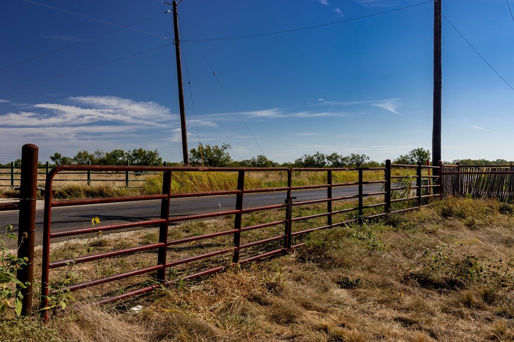 Picture 30