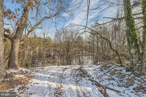 Secluded Rosedale Land Opportunity