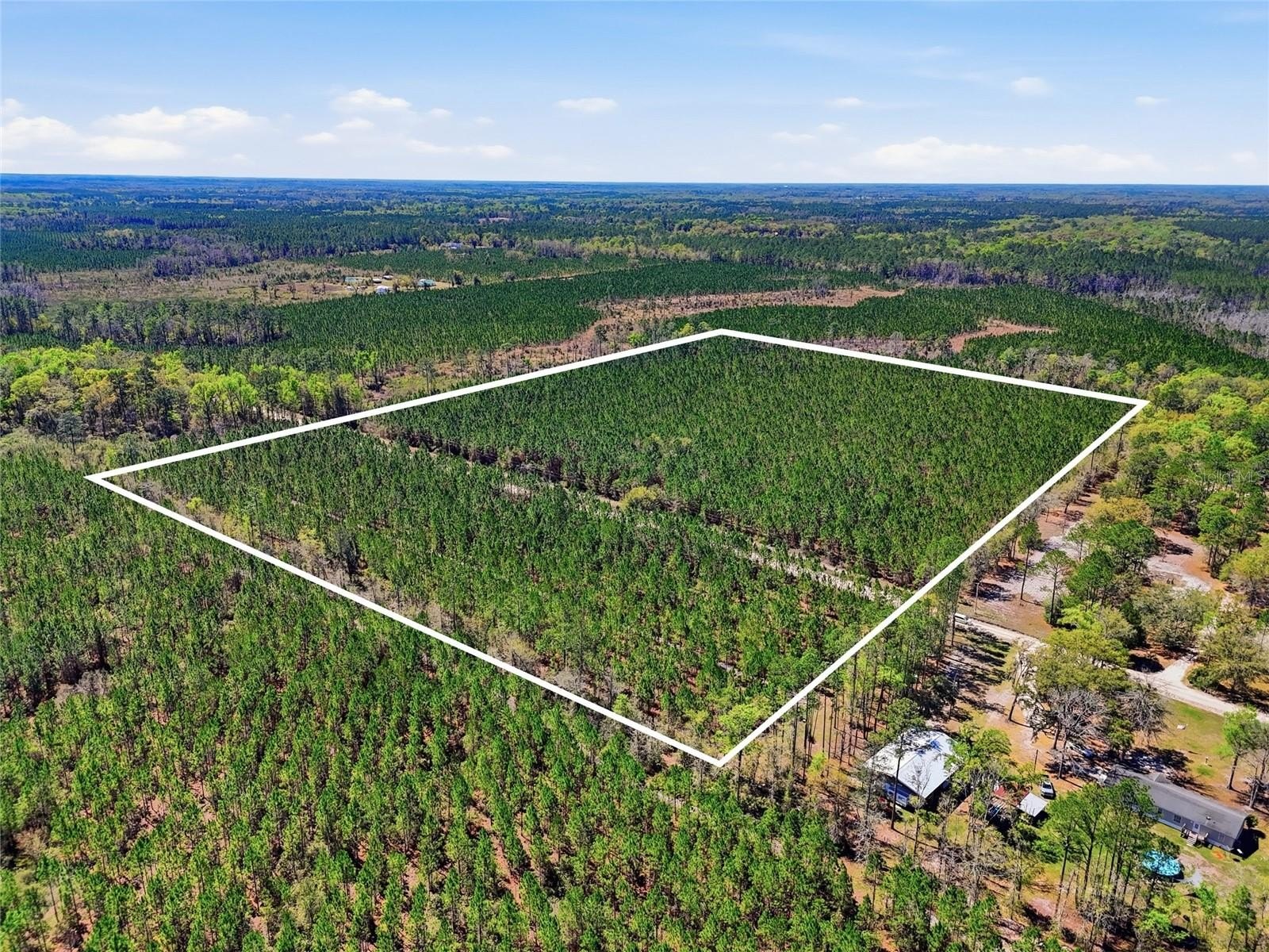 30 Acres Timberland Near City