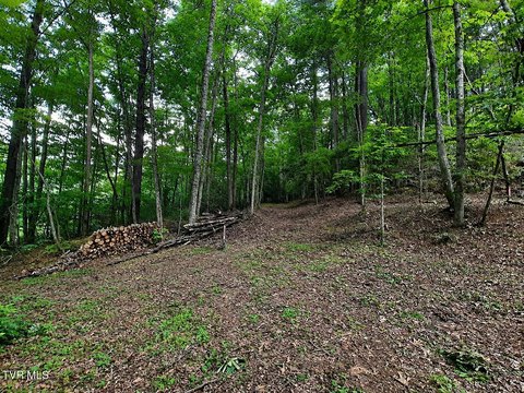 Mountain Recreation Land with Septic Approval