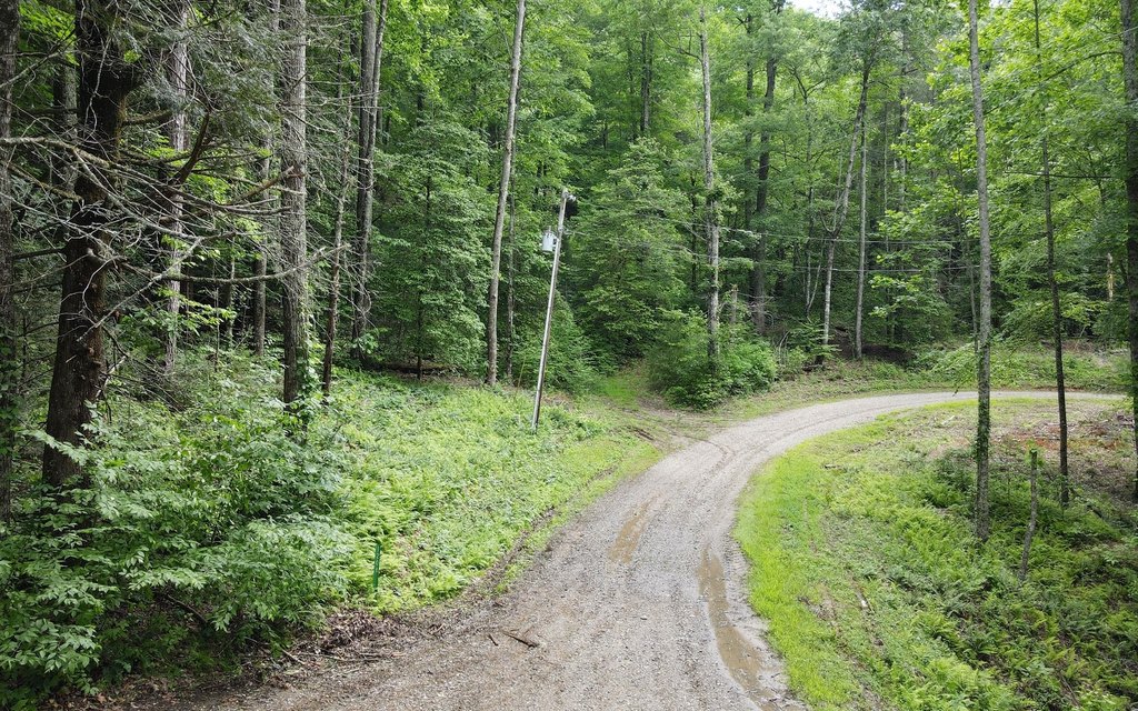 Picture 4