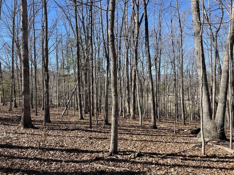 Wooded Homebuilding Lot with Mountain Views