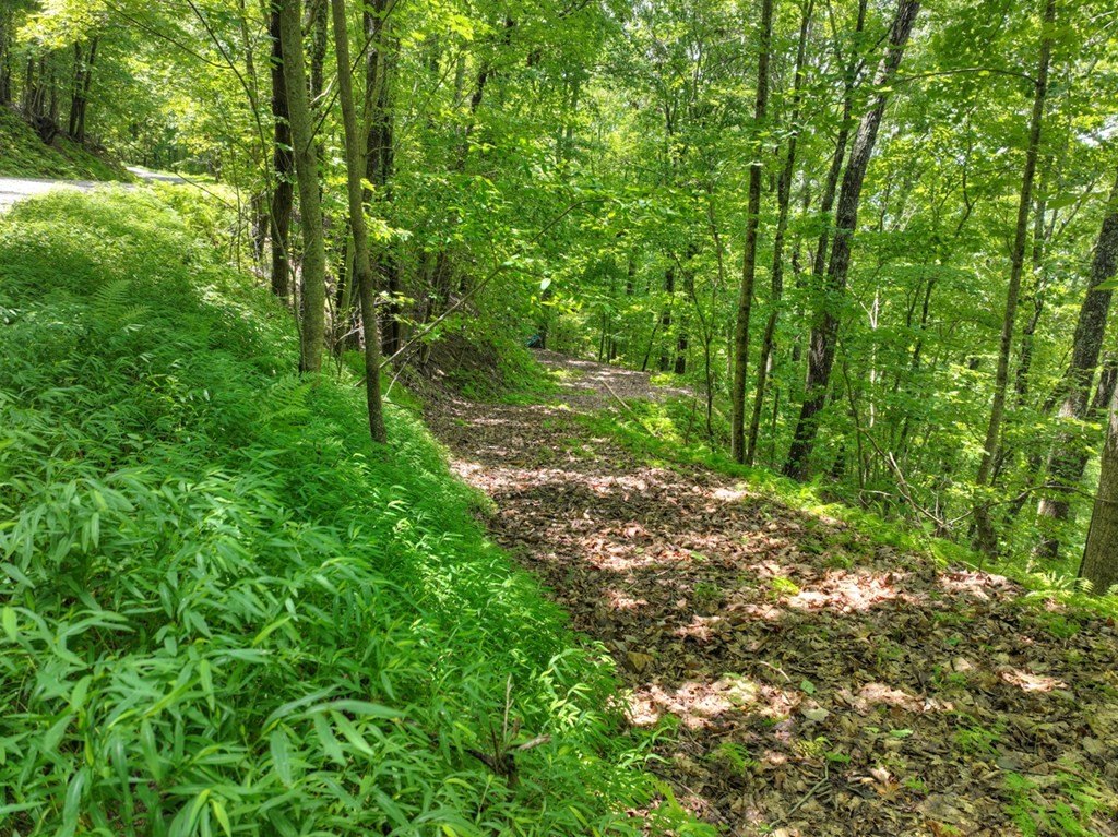 Picture 18