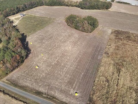 Elloree Farmland with Development Potential