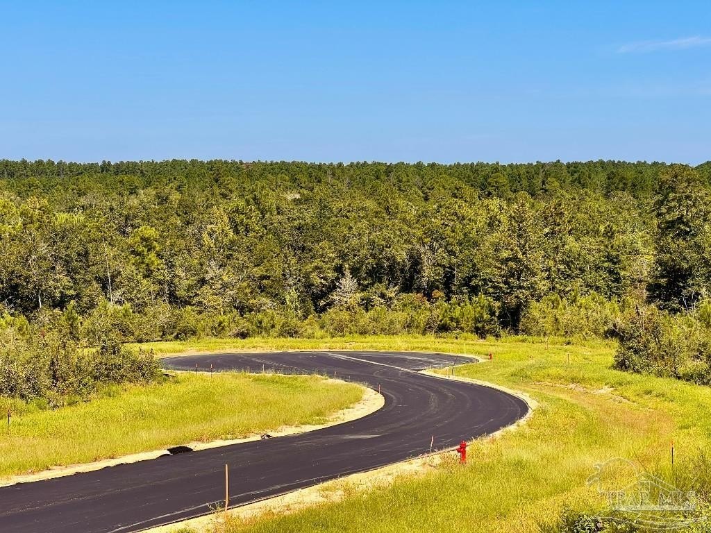 Acreage Homesite in Gated Community