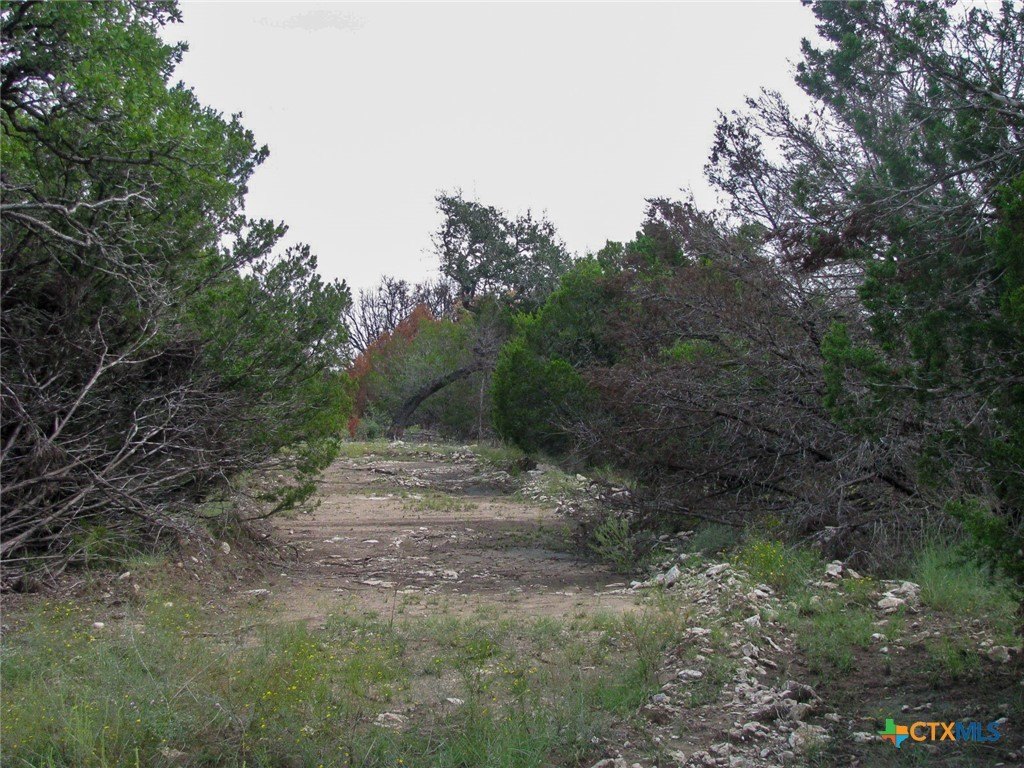 Picture 14