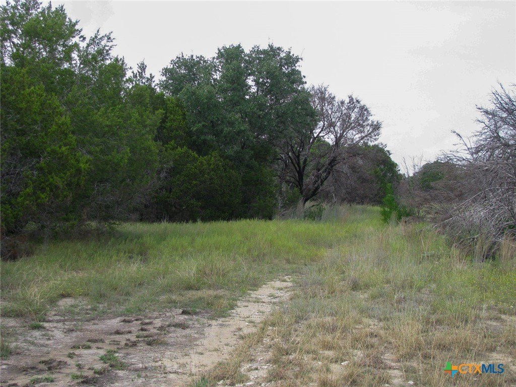 Picture 10