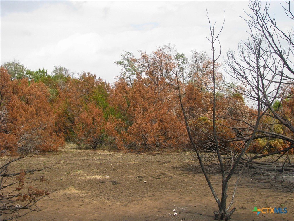 Picture 16