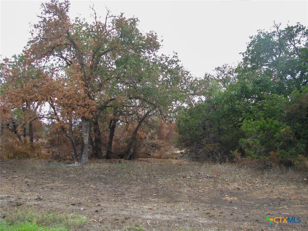 Picture 8