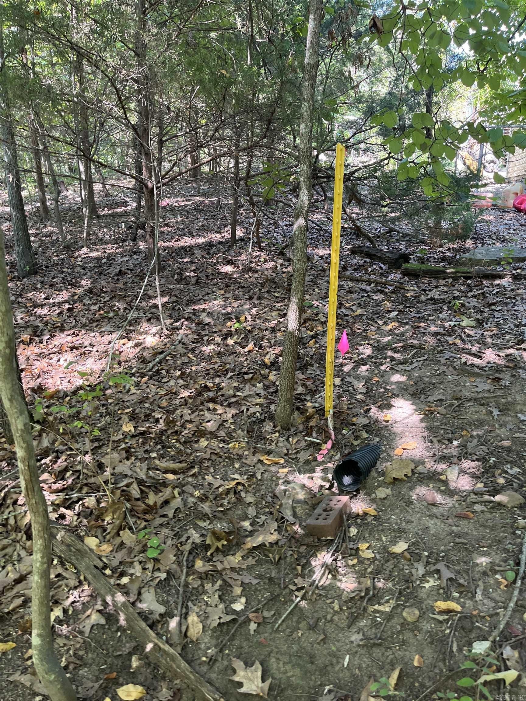 Residential Lots Near Bull Shoals