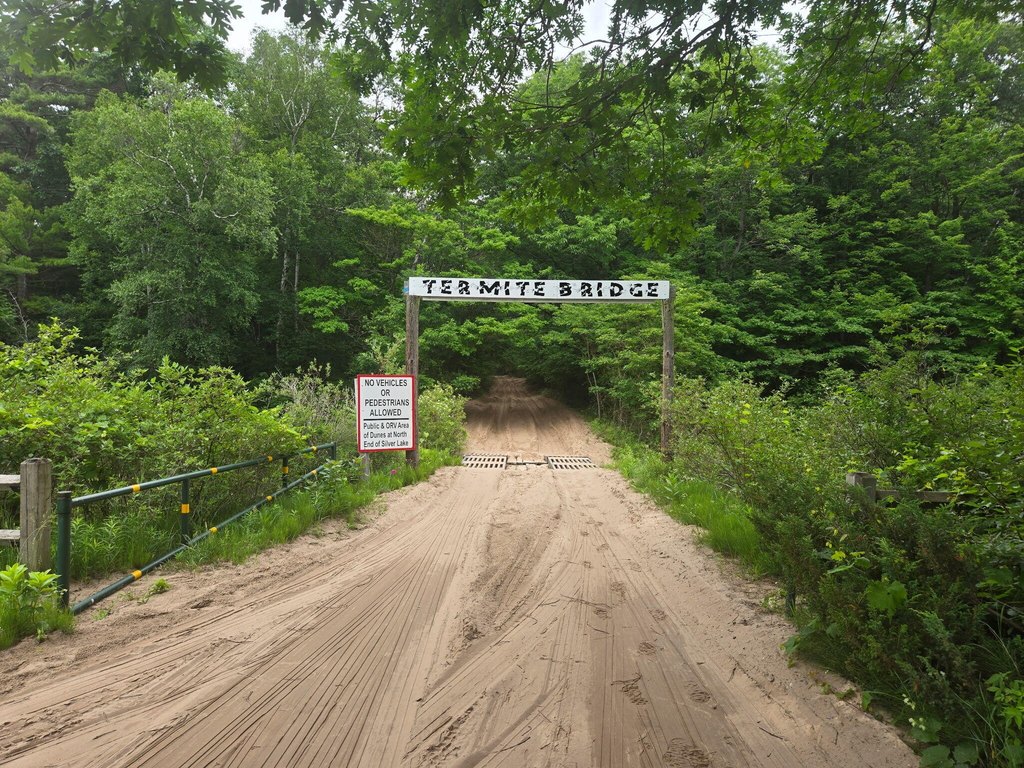 Picture 12