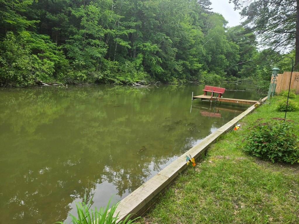 Picture 10