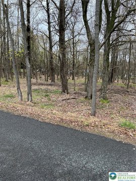 LAND - Coolbaugh Twp, PA
