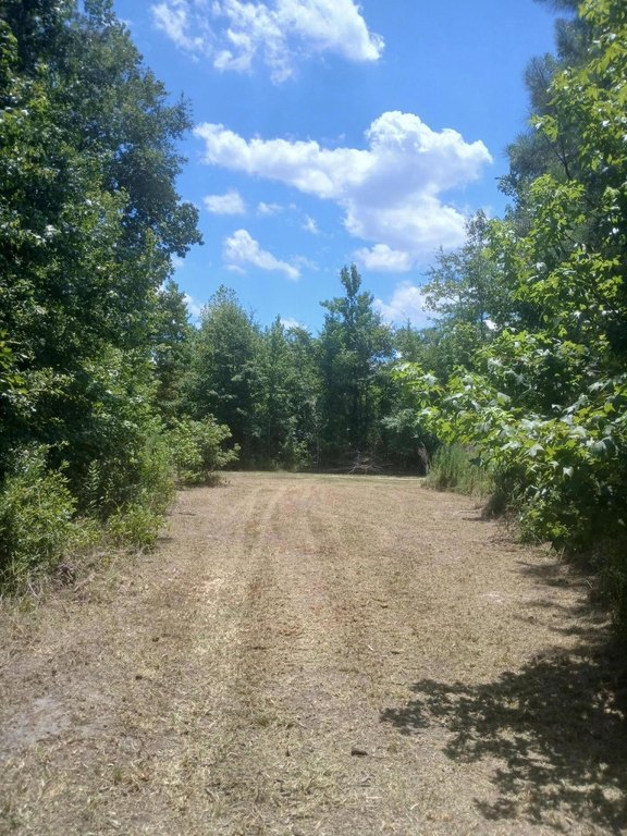 Picture 8