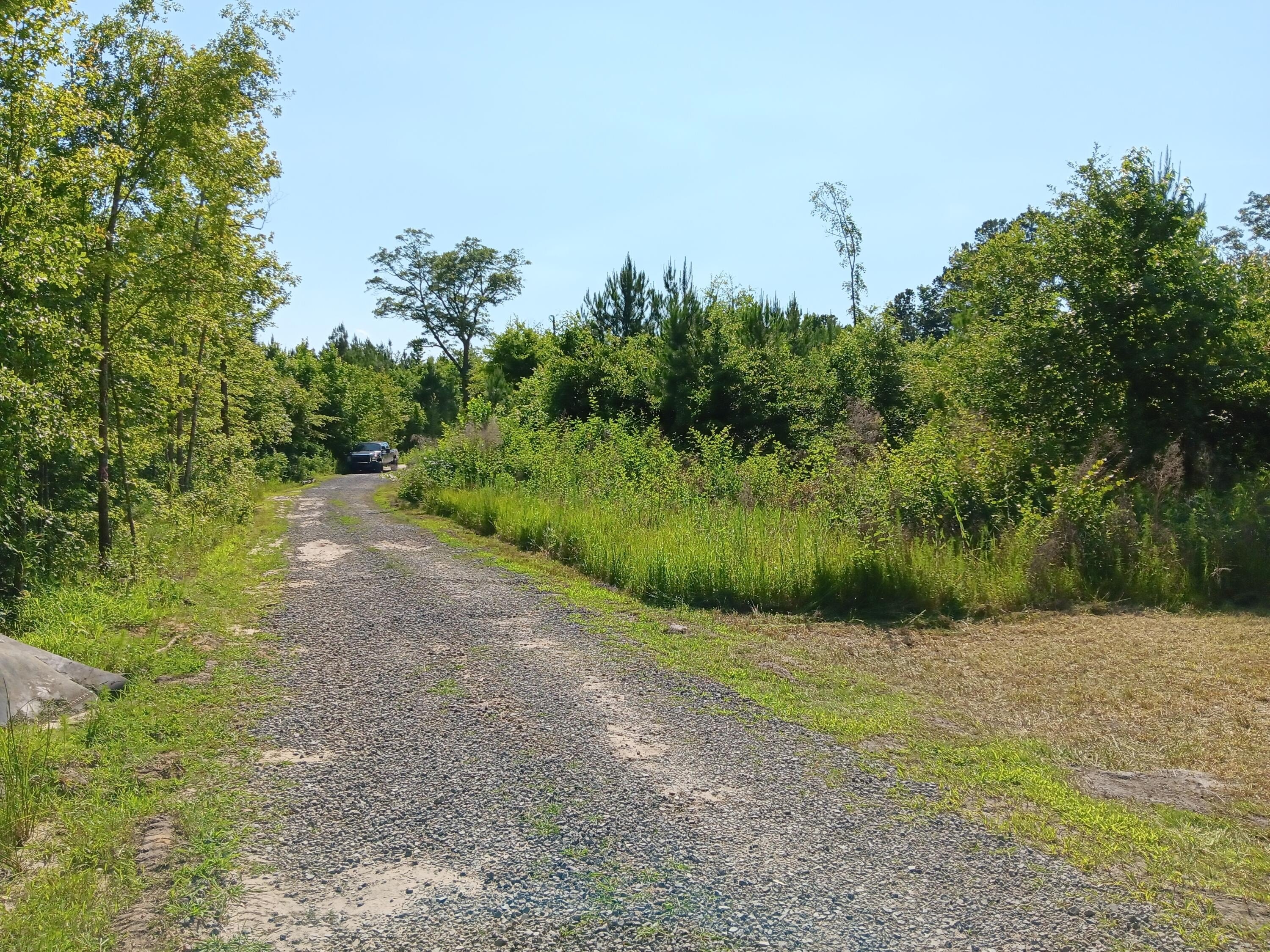 Saint George Wooded Lot