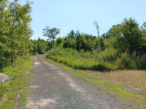 Saint George Wooded Lot