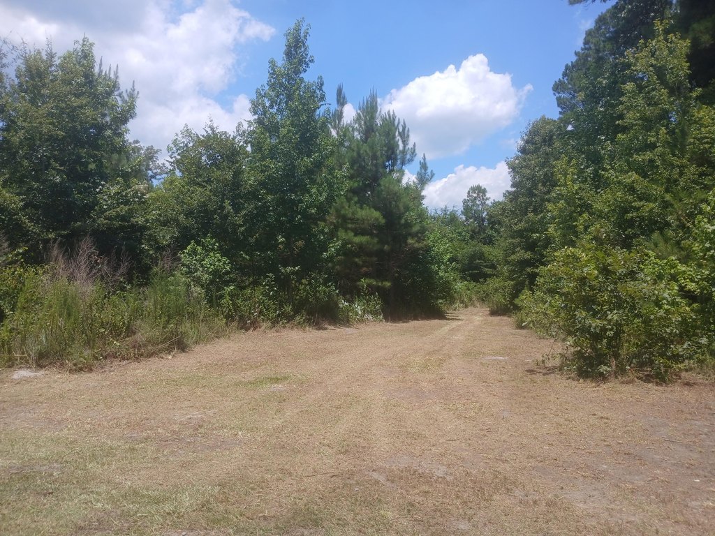 Picture 11