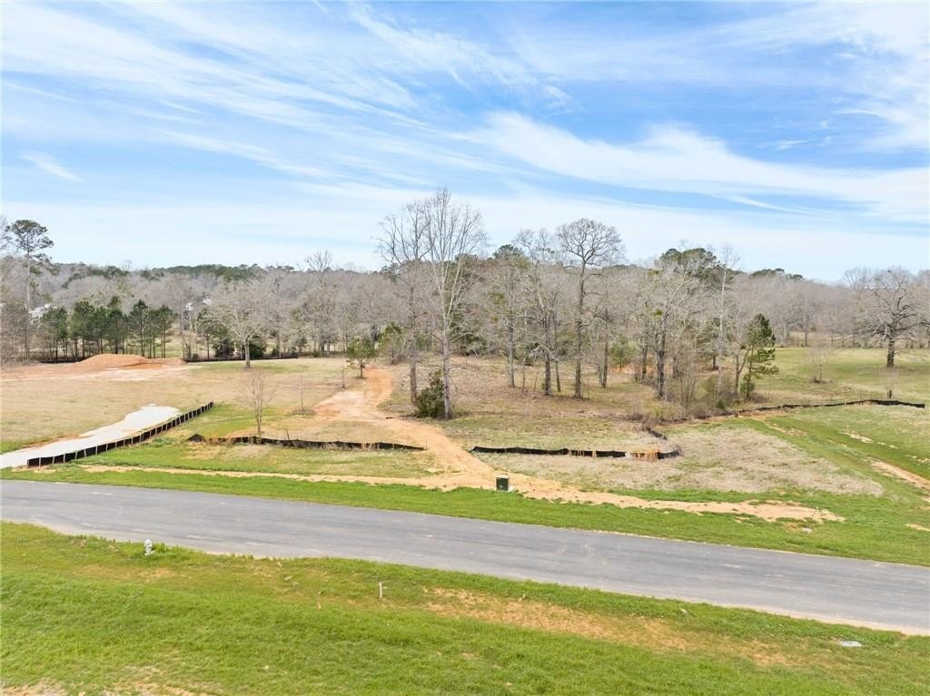 Picture 8