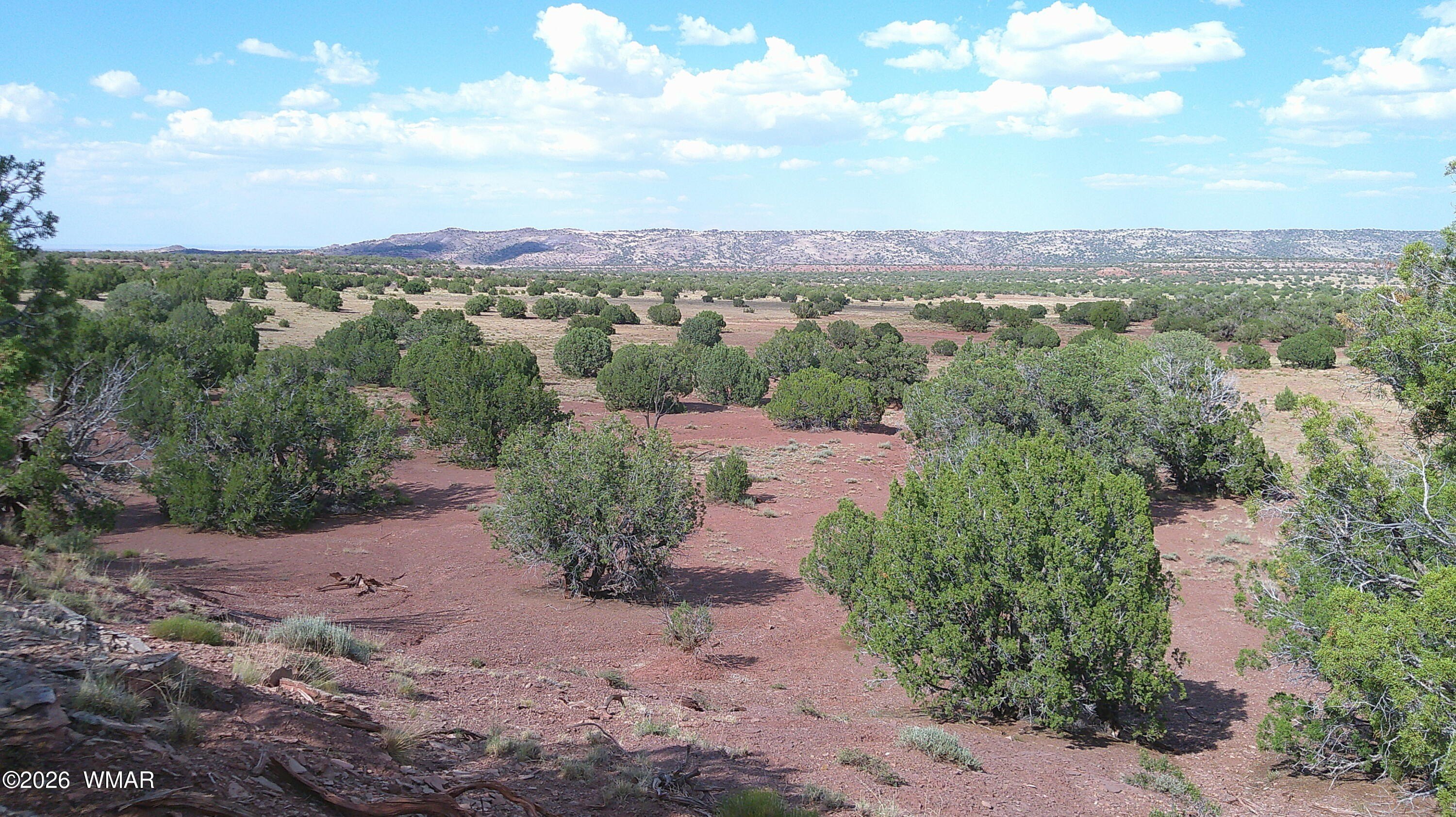 Concho, AZ 10 Acre Parcel