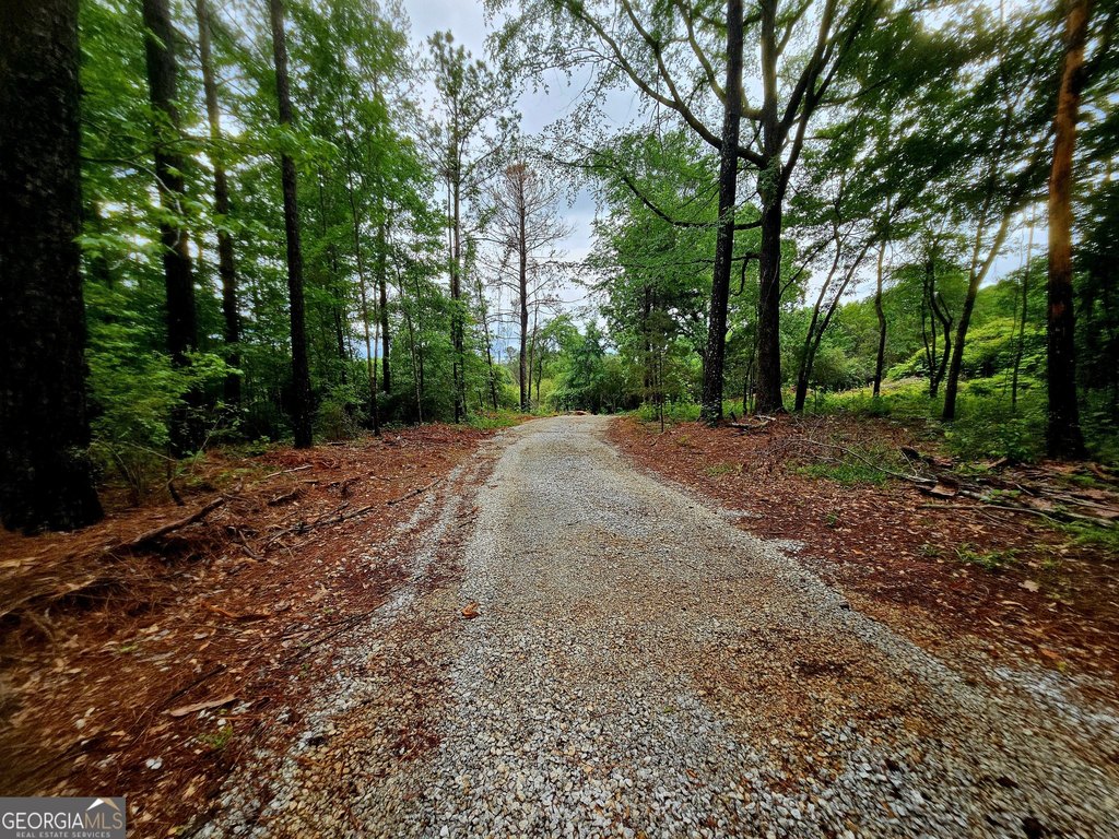 Picture 2