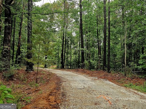 LAND - Franklin, GA