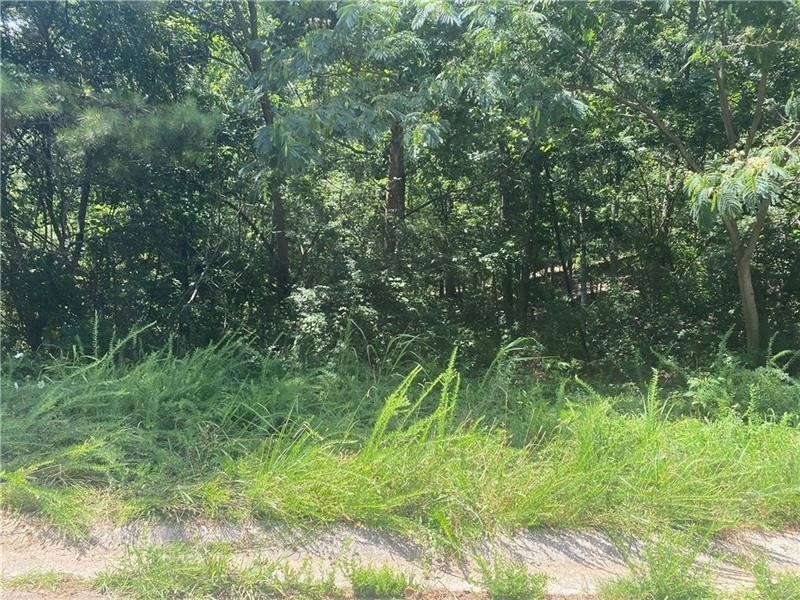 Residential Land in Established Neighborhood
