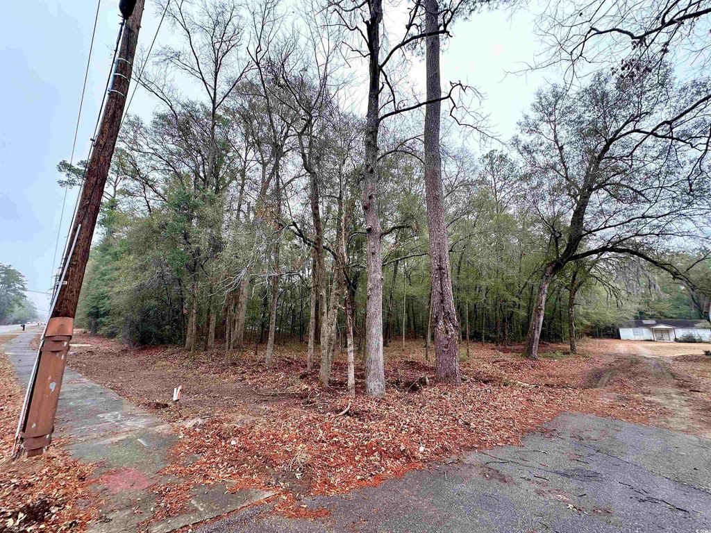 Picture 2