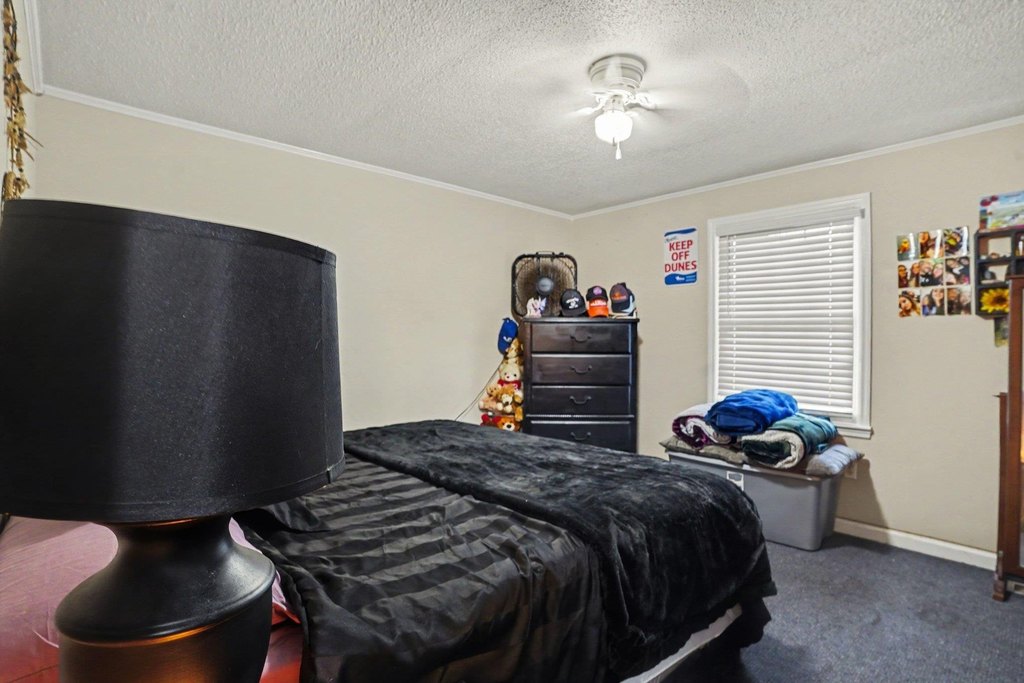Picture 28