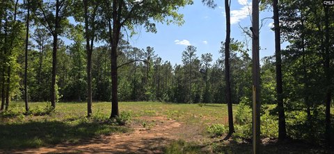 LAND - Winnsboro, SC