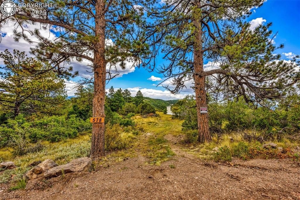 Land with Mountain Views