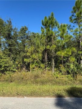Residential Land in Lehigh Acres
