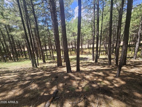 LAND - Forest Lakes, AZ