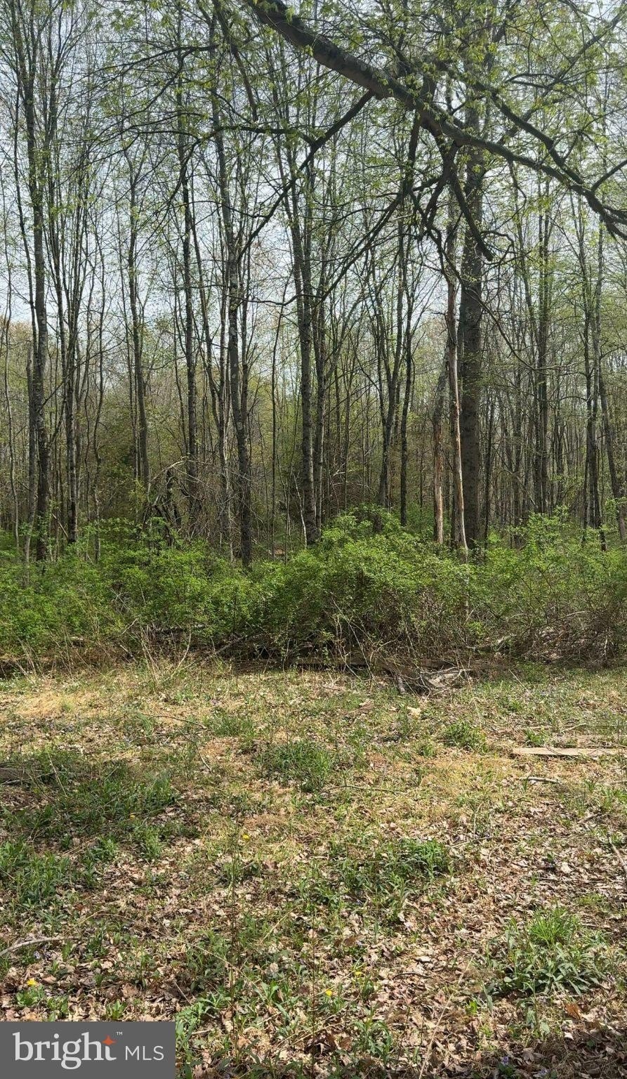 Wooded Land in Lambertville, NJ