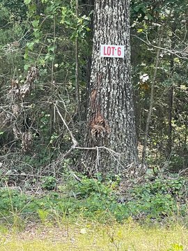 Vacant Land, Greers Ferry, AR