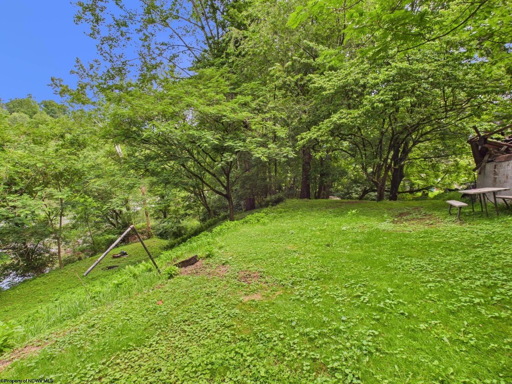 Picture 14