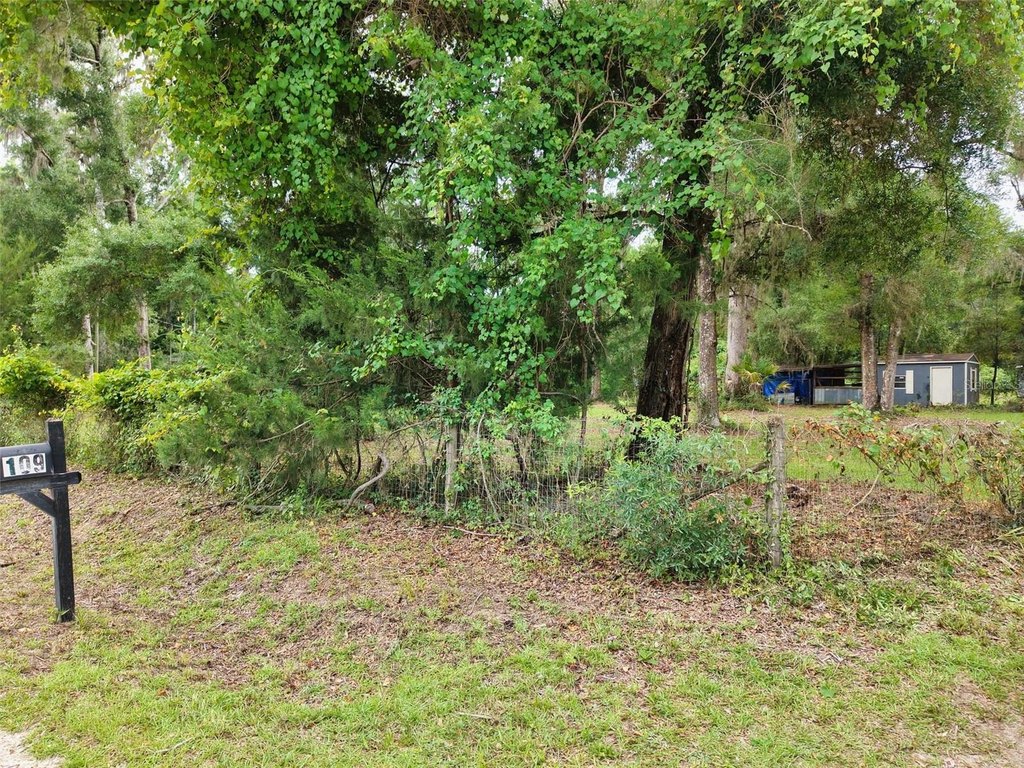 Picture 2