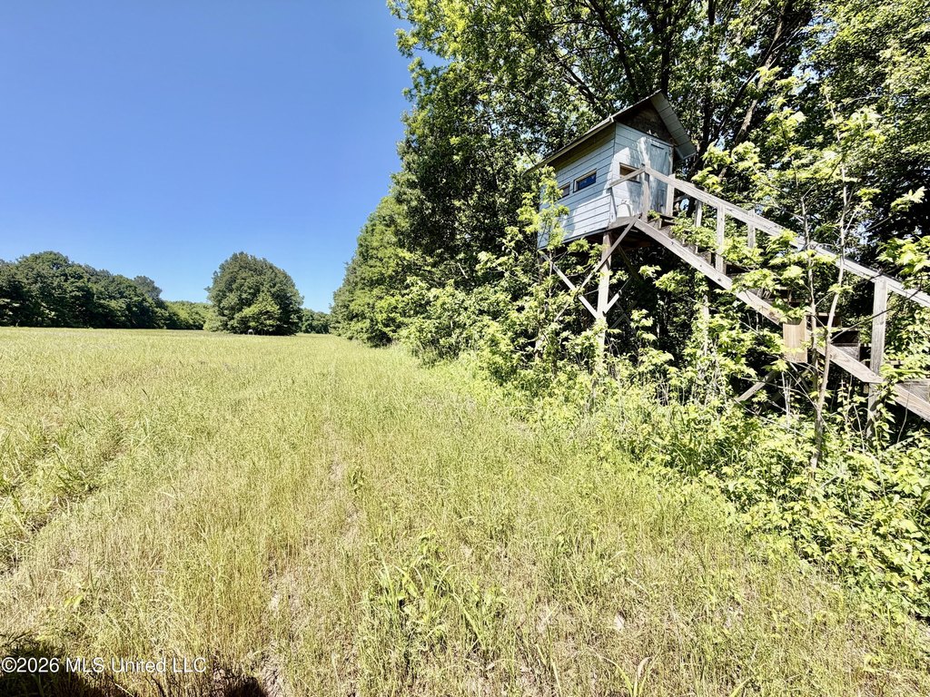 Picture 38