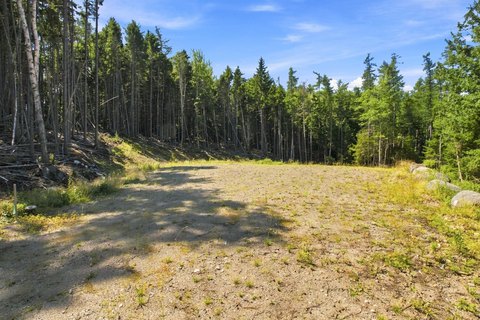 Land, Machiasport, ME