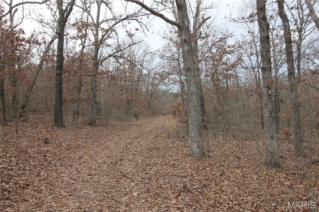 Picture 15