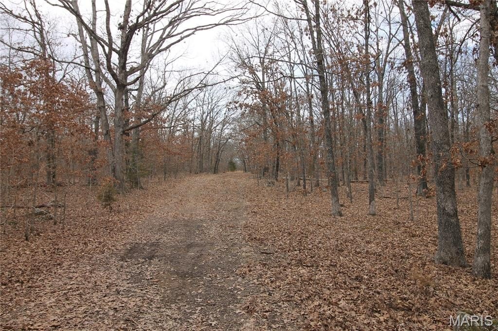 Picture 19