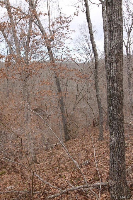 Picture 18