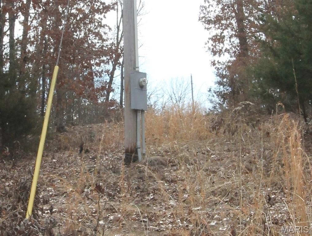 Picture 47