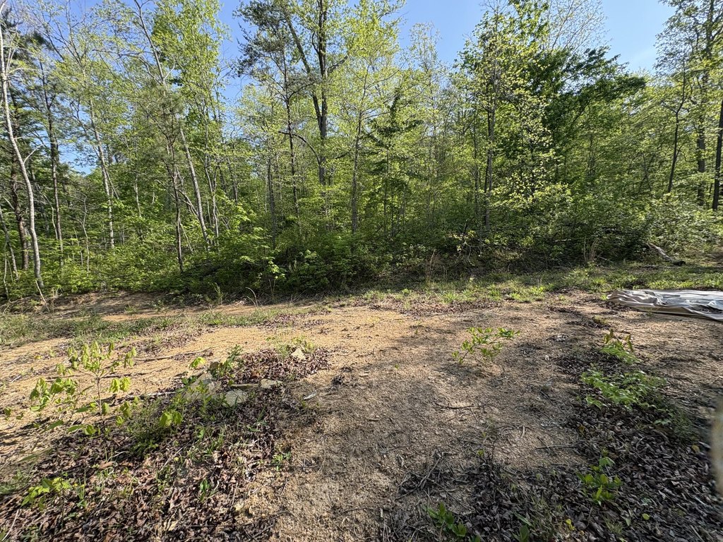 Picture 19