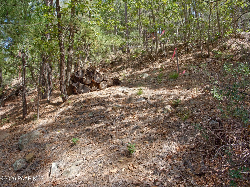 Picture 13