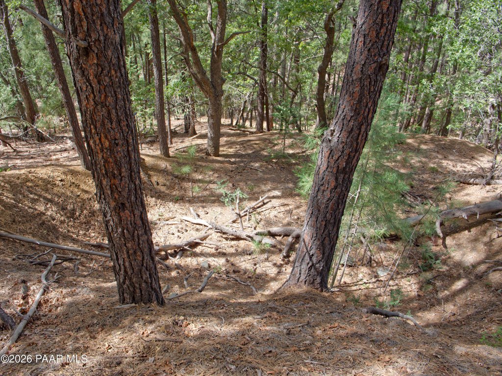 Picture 12