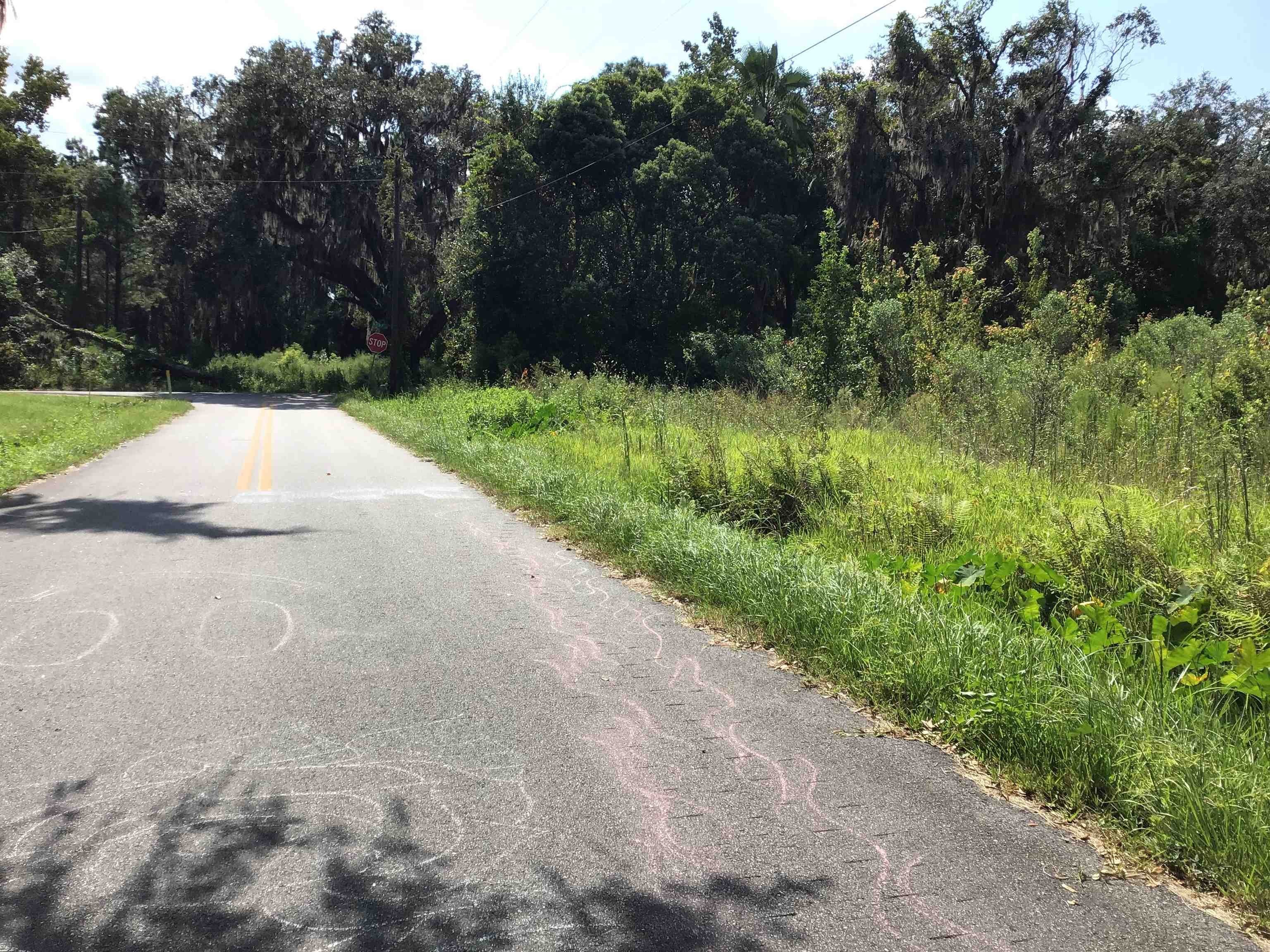Palatka Land with Road Access