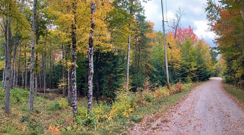 Land, Jackson, NH